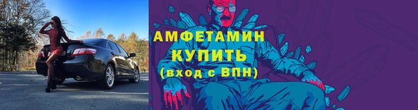 шишки Гусиноозёрск